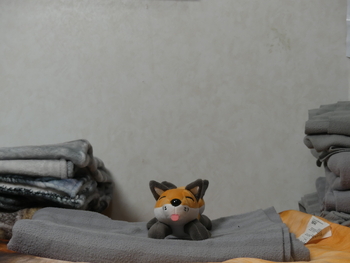 Unnamed 15 (Red FoxFox, Coyotic Trouble)